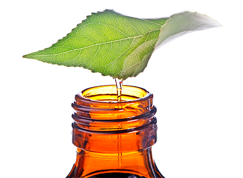 Quality Expertise Bottle with oil and leaf_Cedarome Quality Expertise Bottle with oil and leaf_Cedarome